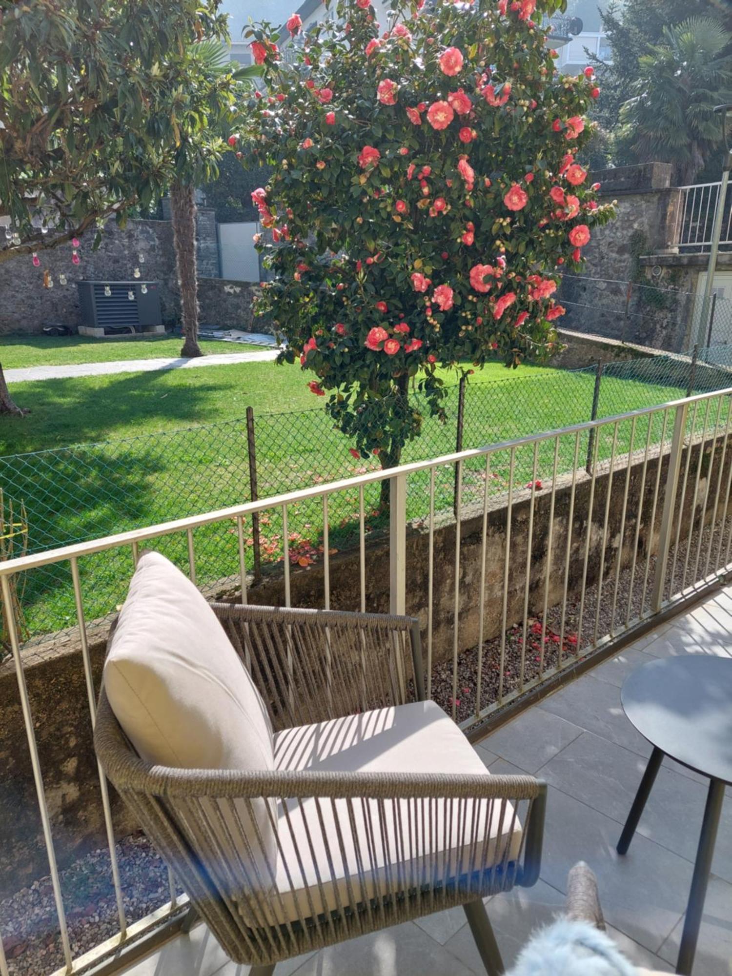 Dolceresio Lugano Lake B&B Brusino Arsizio Dış mekan fotoğraf